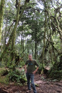 Cameron Highlands-051